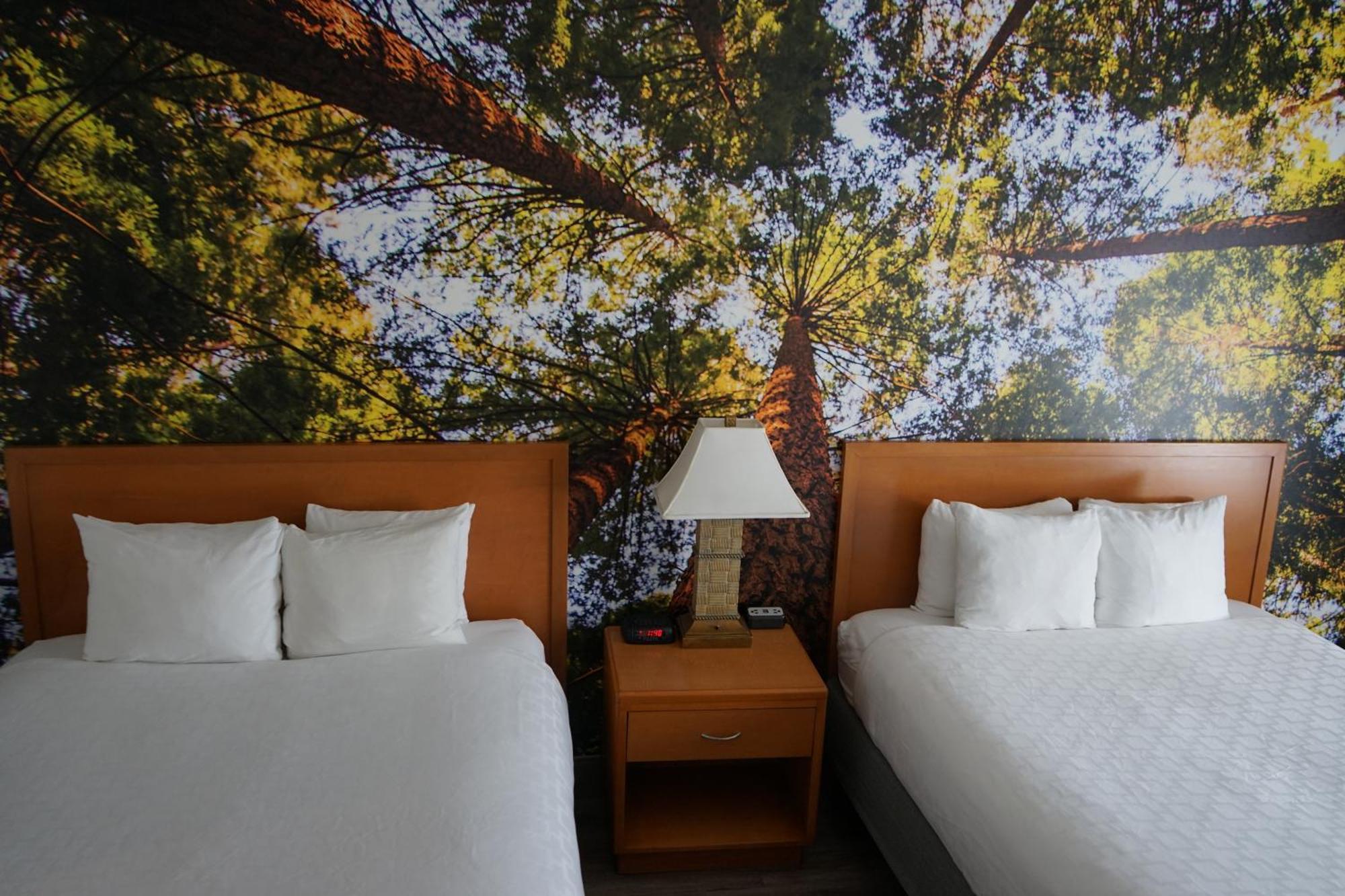 Comfort Inn Hanford Lemoore Exterior foto